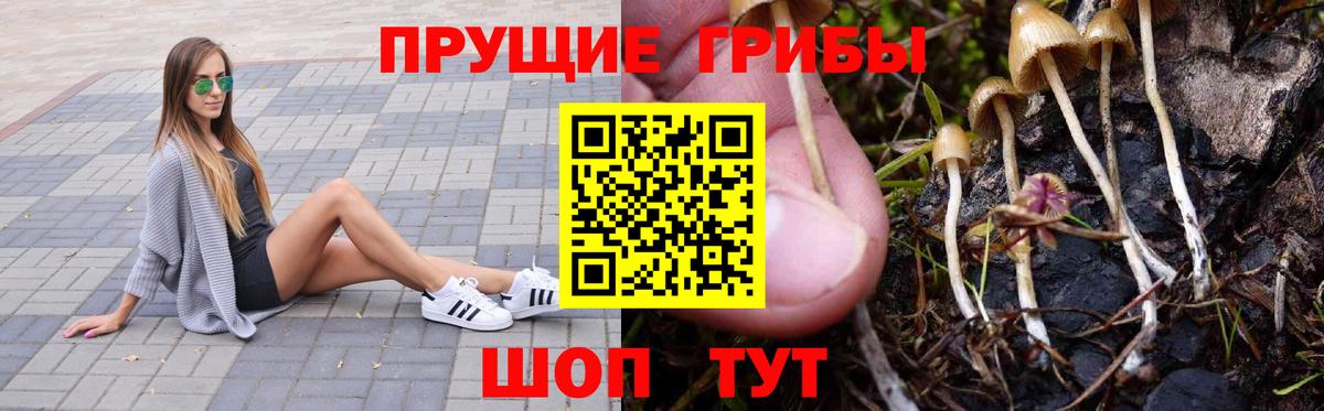 где купить наркоту  Псилоцибиновые грибы Magic Shrooms  Вход с VPN  Иваново 